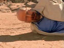 walter white sad