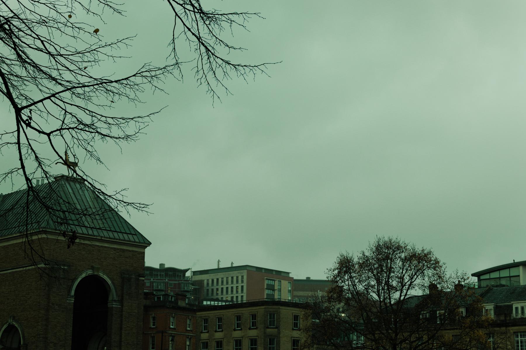 Taken by Oskar Mjolhus-Smith