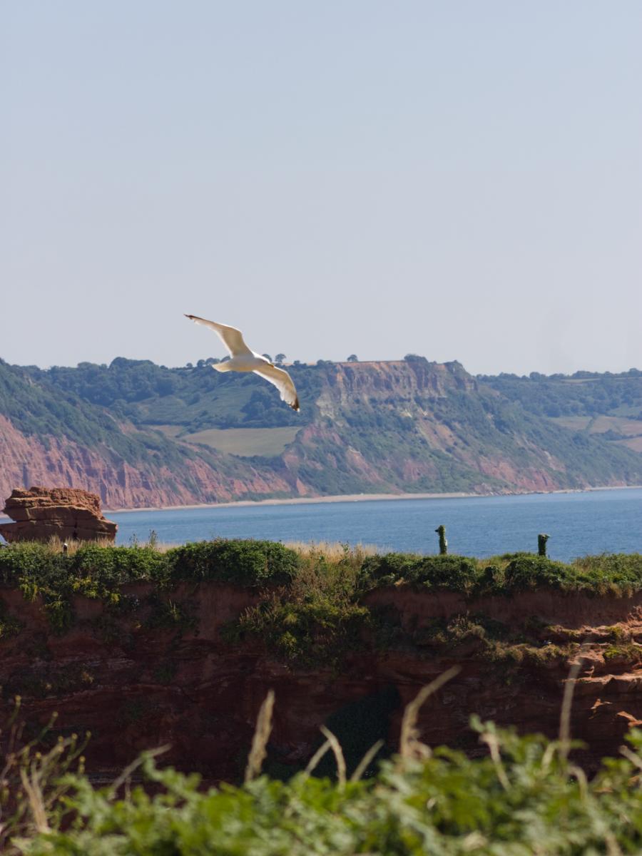 Taken by Oskar Mjolhus-Smith