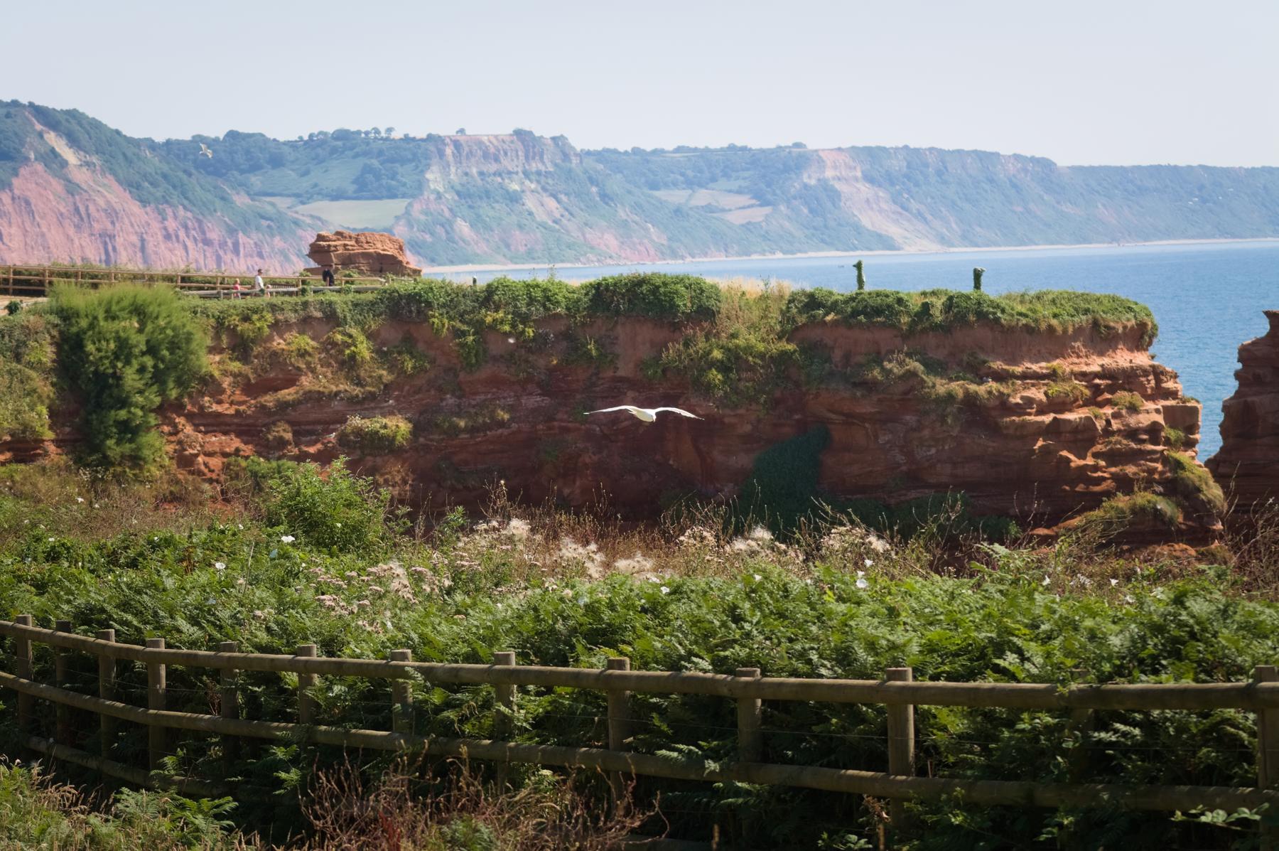 Taken by Oskar Mjolhus-Smith