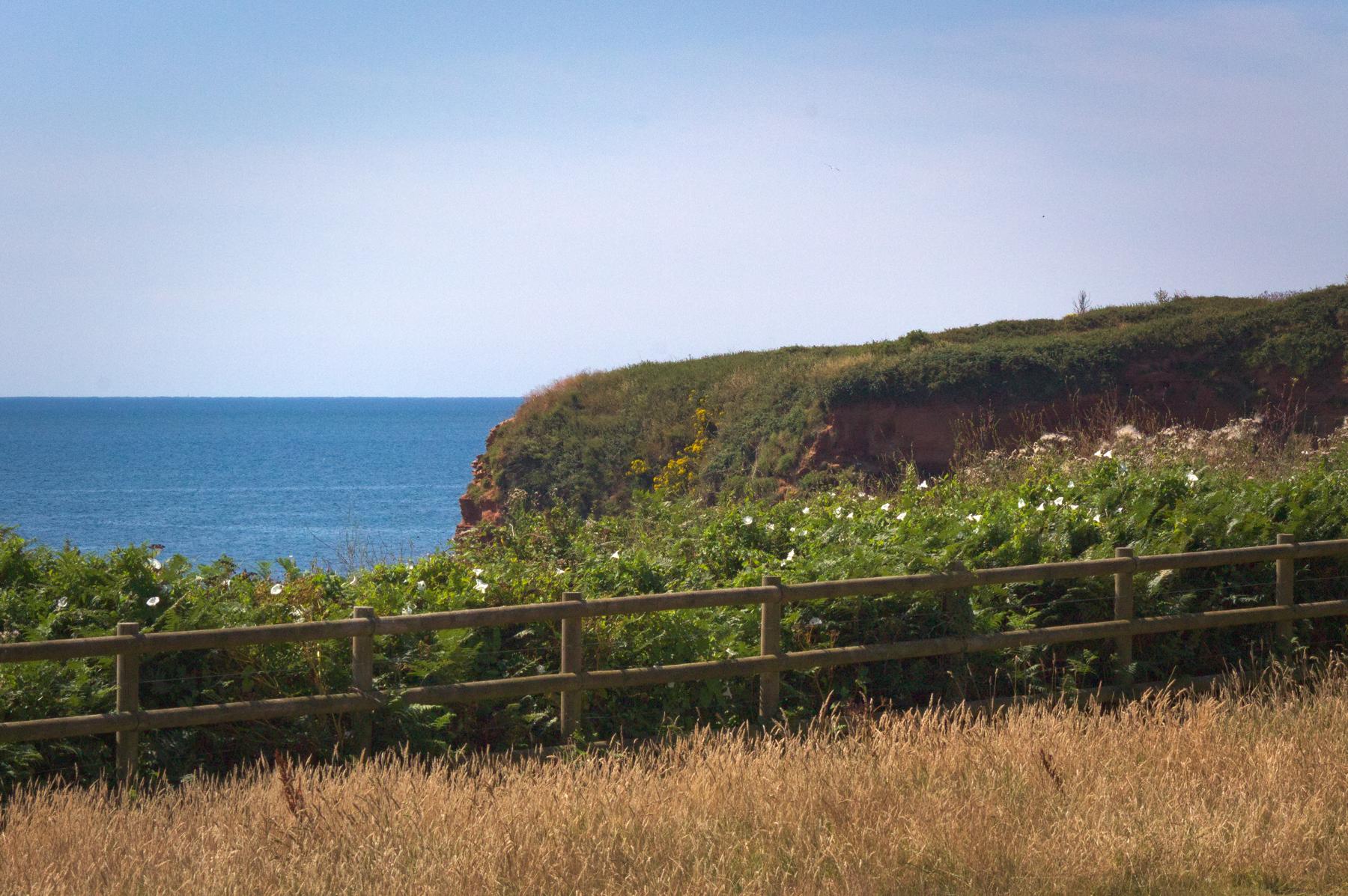 Taken by Oskar Mjolhus-Smith