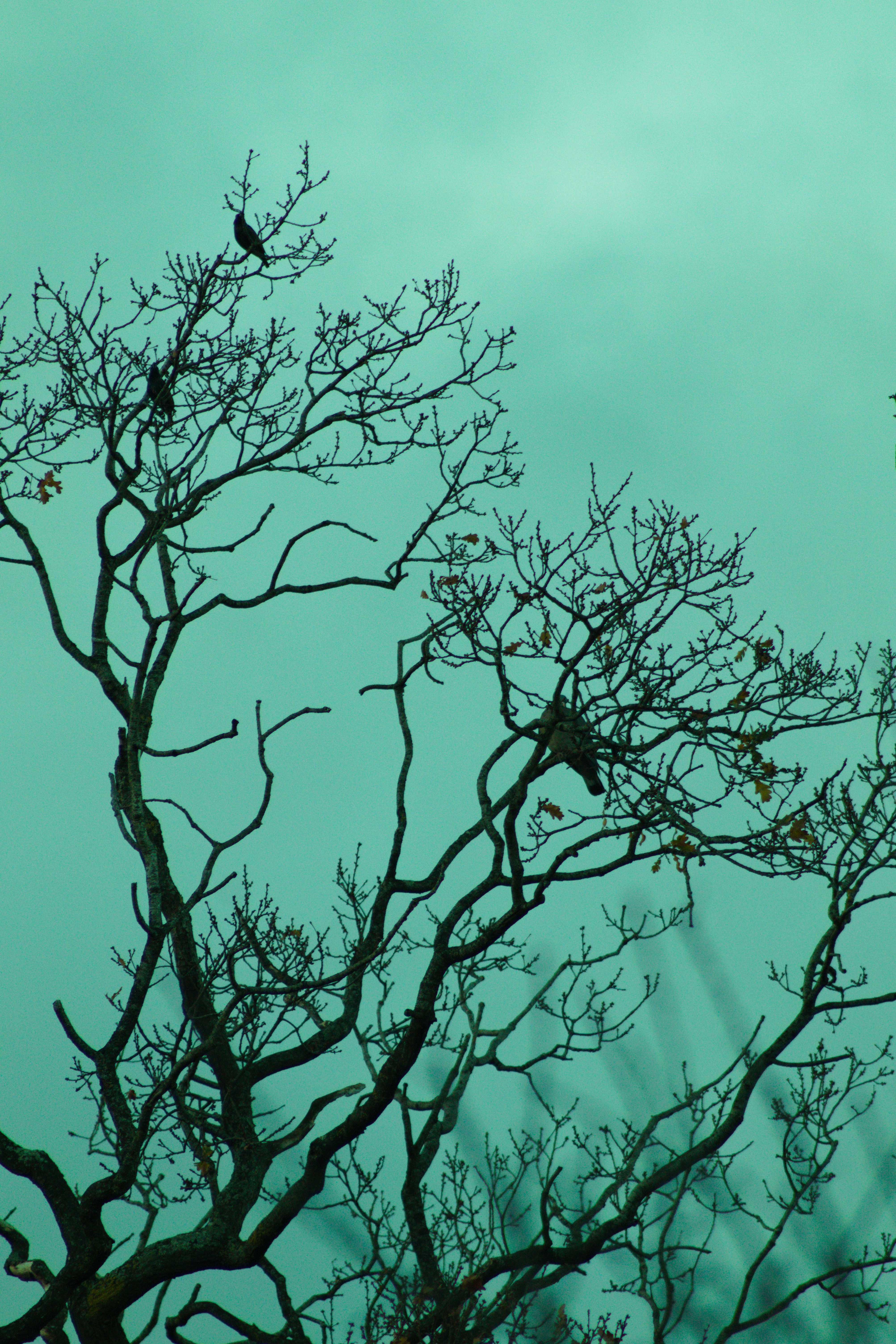 Taken by Oskar Mjolhus-Smith