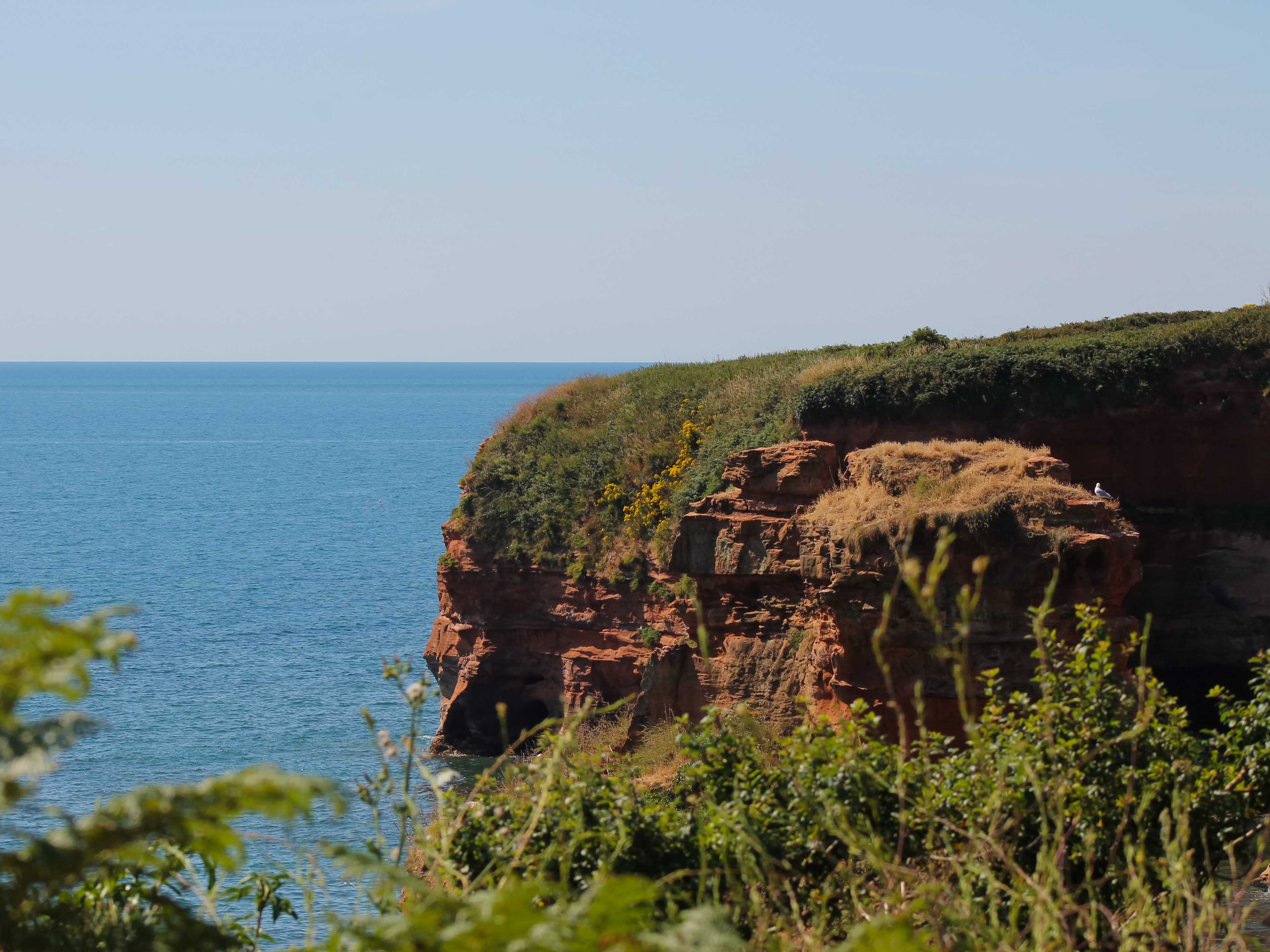 Taken by Oskar Mjolhus-Smith